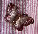 IMG_4182.webp