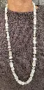 IMG_8771.webp