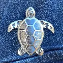 Broche aimant Tortue