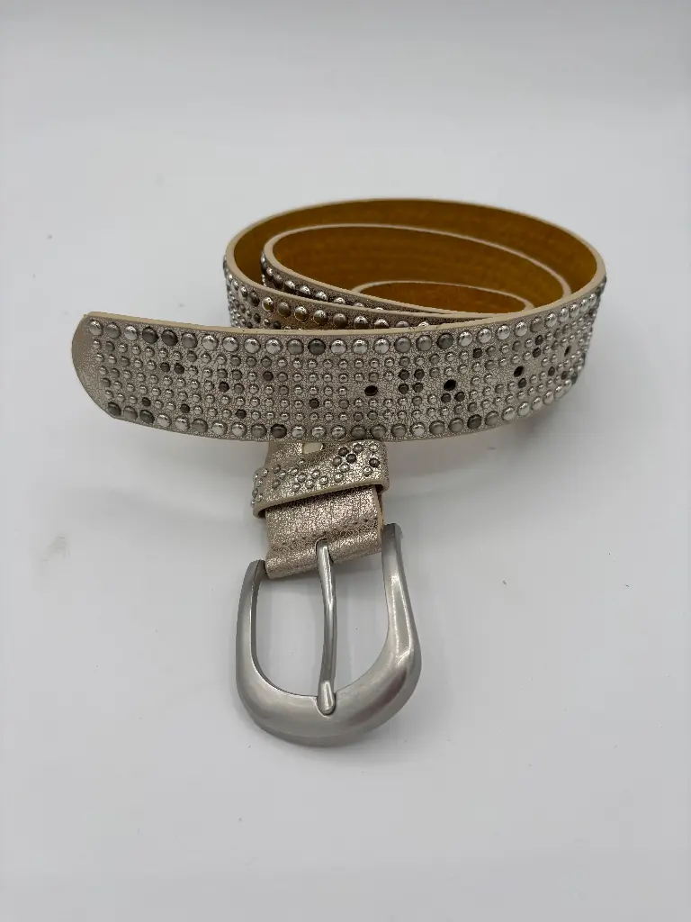 Ceinture clous droits brillante (1)