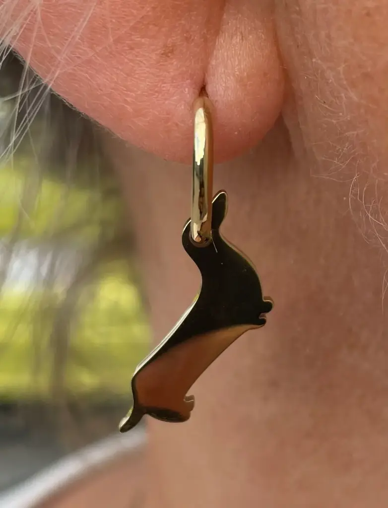 Boucles d'oreilles Teckel/Os n°195