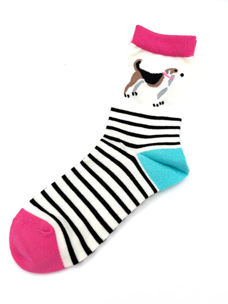 Chaussettes Chien Lignes 