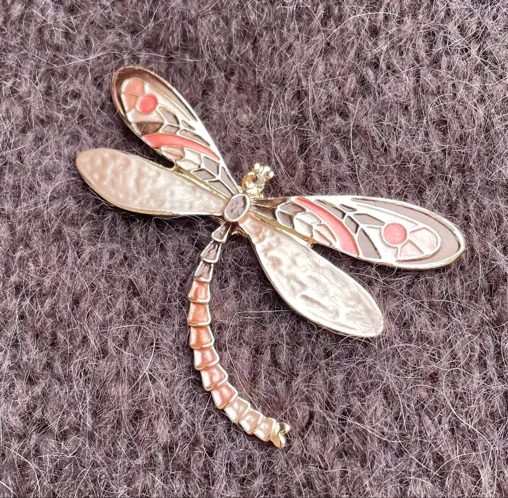 Broche aimant libellule virgule