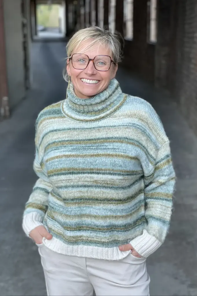 Pull col roulé Dégradé 