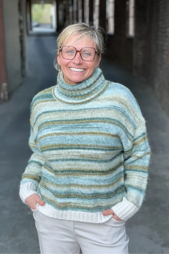 Pull col roulé Dégradé 