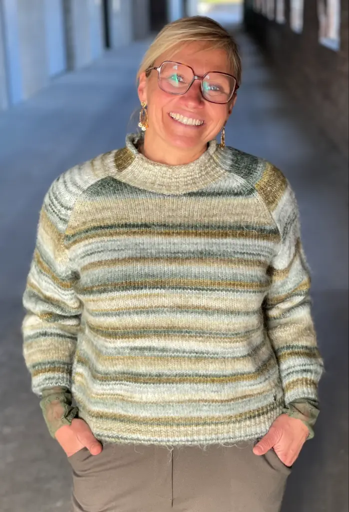 Pull col montant Dégradé