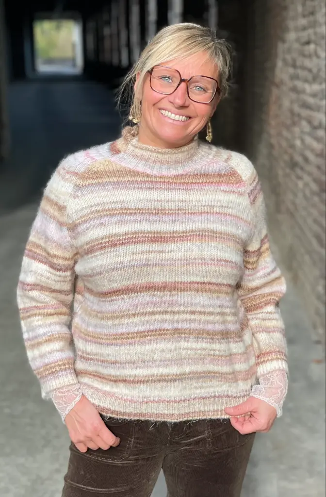 Pull col montant Dégradé