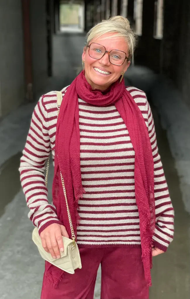 Pull col montant Marin