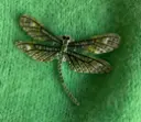 Broche aimant Libellule Strass