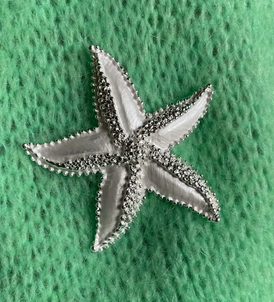 Broche aimant Etoile de mer