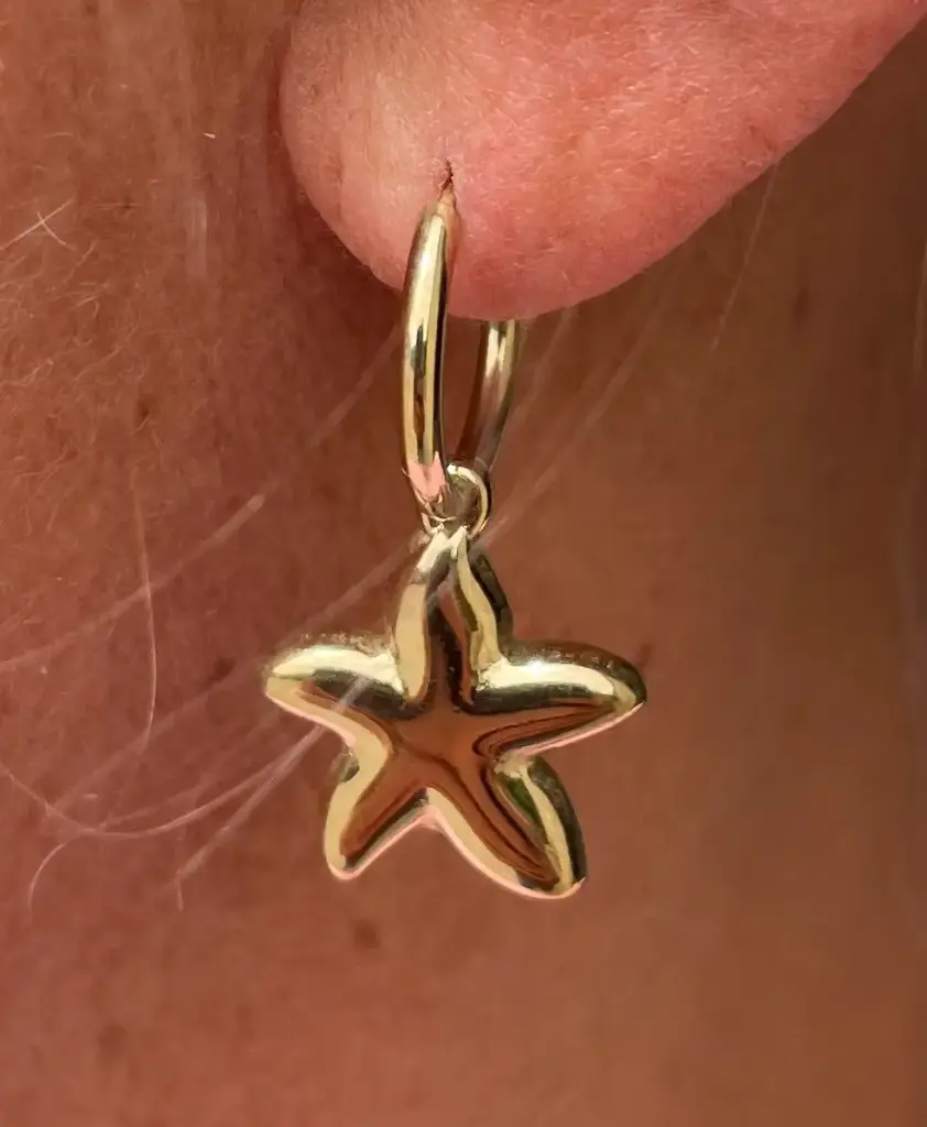 Boucles d'oreilles Etoile de mer n°263