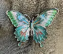 Broche aimant Papillon Multi
