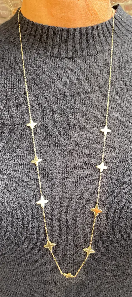 Collier chaîne Edelweiss SS0165