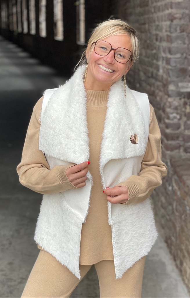 Broche aimant moitié aile coeur