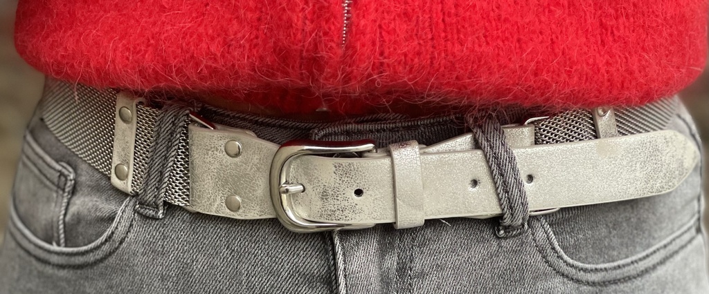 Ceinture treillis métallique