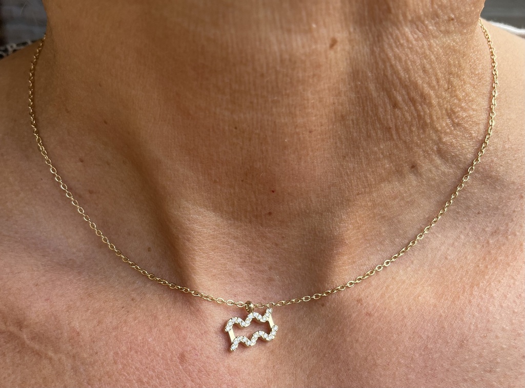 Collier chaine signe Verseau YL XL0387