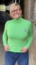 Sous pull col roulé S/M