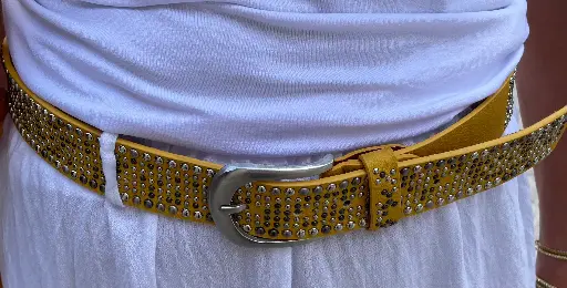 Ceinture clous droits brillante 