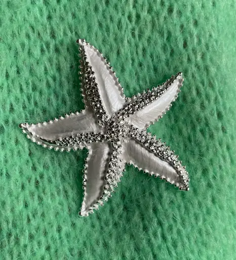 Broche aimant Etoile de mer