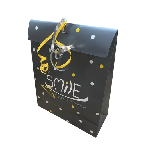 Sac cadeau grand modele