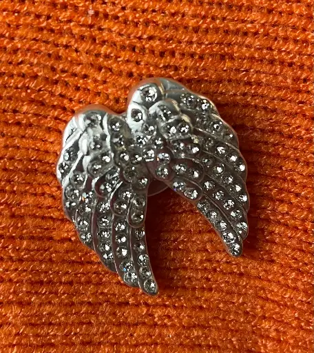Mini broche ailes strass